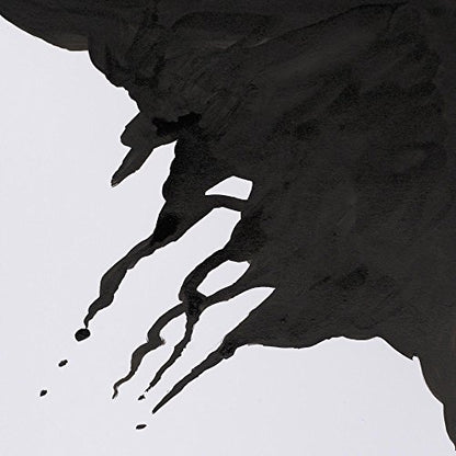 Winsor & Newton Drawing Ink, 14ml Bottle, Liquid Indian Ink | Fast-drying, transparent & water-resistant; Outstanding Color Brilliance; Perfect for brush, dip pen, airbrush applications. - color: Liquid Indian Ink, style: 14ml Bottle
