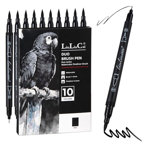 LIULIUCAI 10 Black Dual Tip Markers, Fine & Brush Tip Pens for Coloring - color: 10 Black