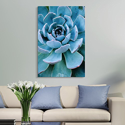 wall26 Canvas Wall Art - Closeup of a Blue Succulent Plant - Giclee Print Gallery Wrap Modern Home Art Ready to Hang - 12x18 inches - color: Artwork - 01, size: 18"L x 12"W
