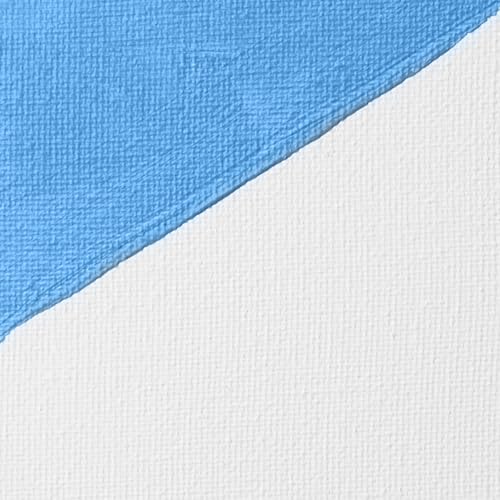 Liquitex Professional Gesso Surface Prep Medium, 473ml (16-oz), White - color: White, size: 16 Fl Oz (Pack of 1), style: 16-oz