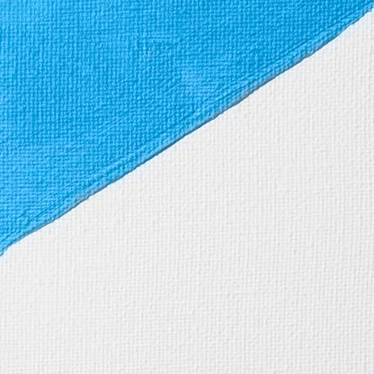 Liquitex Professional Gesso Surface Prep Medium, 473ml (16-oz), White - color: White, size: 16 Fl Oz (Pack of 1), style: 16-oz