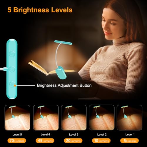 Gritin Rechargeable Book Light for Reading in Bed with 19 LED | Eye Caring 3 Color Temps, 5 Brightness Levels, Memory Function, 90 Hrs Runtime Flexible Goose Neck Clip on Light-Blue - color: Blue