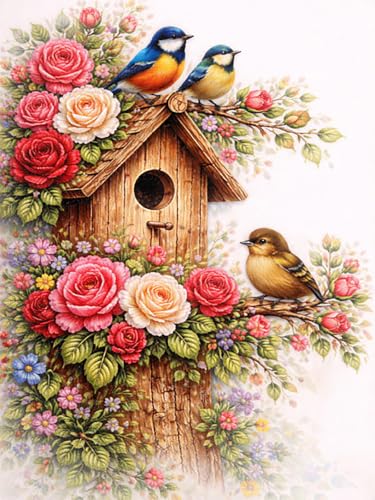 Diamond Art Kits for Adults, Birds Diamond Art Painting Kits for Adults | Stress Relief Birds Vintage Full Round Drills 5D Heartfelt DIY Gift Gem Crafts Kits Wall Decor HD Canvas 11.8x15.7 in 30x40cm - color: Birds