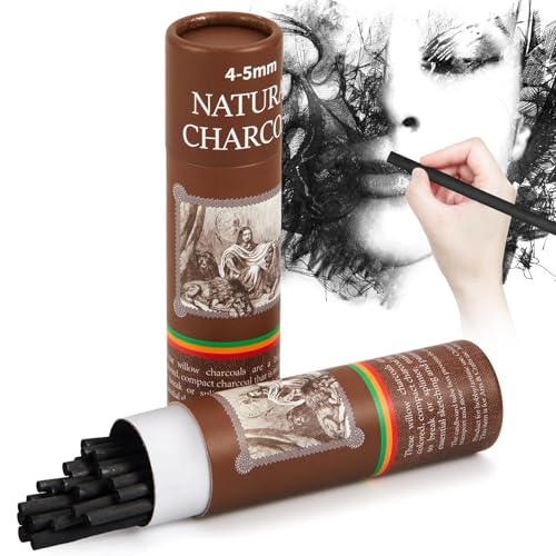 Gueevin 25 Pcs Soft Willow Charcoal Sticks Drawing,4-5mm | For Artists Beginners Students, Vine Charcoal Bulk for Sketching Shading Fine Art, Assorted Sizes, Back to School Gifts - size: 4-5mm