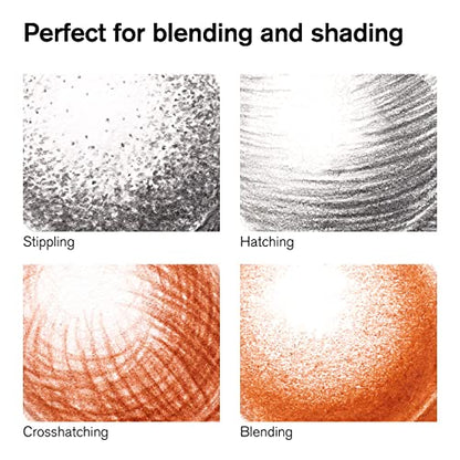 Winsor & Newton Studio Collection, Sketching Pencils, Set of 6 | Soft, Thick Core pencils, Varied Hardness, Soft Smooth Texture, Easy Blending, Stylish Metal Tin Included, High Quality Lead - style: 6 Sketching Pencils