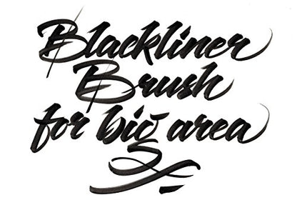 Molotow Blackliner Ink Refill, Black, Permanent Archival Ink, Quick Dry, Fade Resistant, 30ml Bottle, 1 Each (693.640) - style: Ink refill