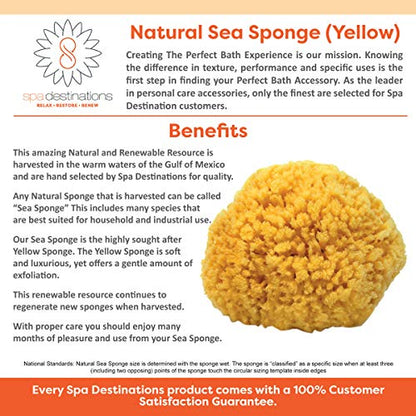 Natural Sea Sponge 6-7" by Spa Destinations Creating The At-Home Spa Experience