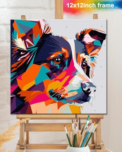 TOCARE Framed Paint by Numbers Kit for Adults Beginners & Kids Ages 8-12,12x12inch Border Collie Paint by Number with Frame,Dog Paint by Numbers Framed Canvas for Amimal Lover(Without Easel) - color: TC-F-295
