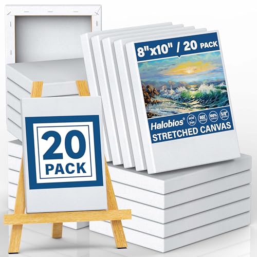 Blank Canvases - 8x10in Stretched Canvases, 20 Pack, 5/8 Inch Profile, 100% Cotton Artist Framed Canvas for Acrylics, Oils & Other Painting Media - size: 20 Pack - 8×10IN