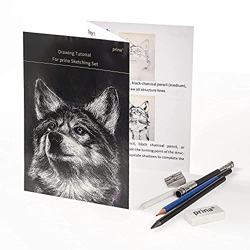Prina 50 Pack Drawing Set Sketch Kit, Sketching Supplies with 3-Color Sketchbook, Graphite, and Charcoal Pencils, Pro Art Drawing Kit for Artists Adults Teens Beginner Kid, Ideal for Shading, Blending