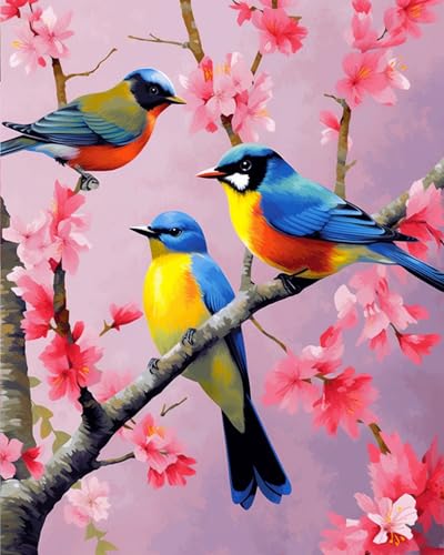 Paint by Numbers DIY Acrylic Painting Kit for Kids & Adults Beginner – 16" Wx20 L Colorful Bird Pattern - color: Bird