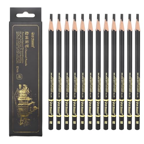 PATIKIL Hard Charcoal Pencils for Drawing, 12Pcs Professional Charcoal Pencils Art Supplies Set Oily Black Break-Resistant for Sketching Artists Beginners Shading Blending
