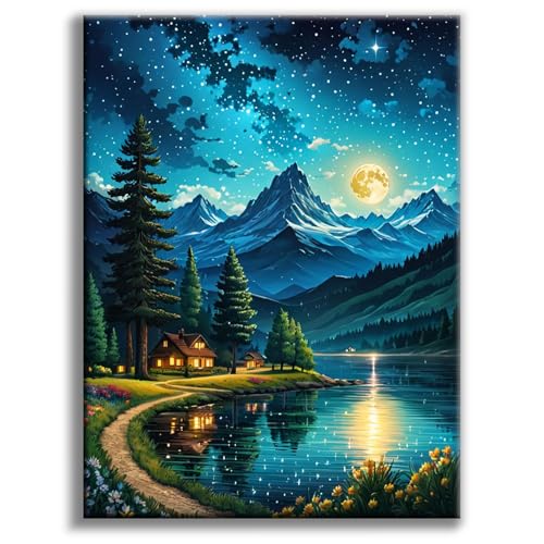 Diamond Art Kits for Adults, Moon Lake DIY Diamond Painting for Beginners | 12x16 Inch, Full Drill Round Dots, Lakeside Villages 5D Gem Art Craft Kits, Home Decor, Stress Relief Relaxing Hobby Gift - color: BLKJDP02
