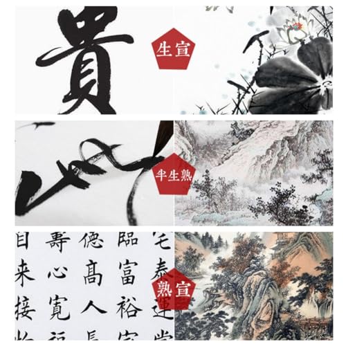 KYMY Chinese Japanese Calligraphy Paper 100PCS, Sumi/Rice Paper for Writing Painting Drawing Practice, Chinese Brush Ink Half Sheng Shu (Half Raw Ripe) Xuan Paper (69 x 138 cm (27.16 x 54.33 Inch)) - size: Half Sheng Shu(Raw Ripe) 69x138cm(27.2 x 54.3In)