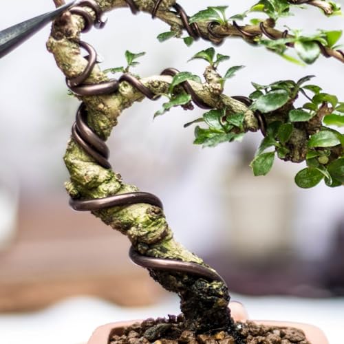 PATIKIL Bonsai Training Wire 6mm x 10.5ft Anodized Aluminum Brown - color: Brown, size: 6 mm x 3.2 m