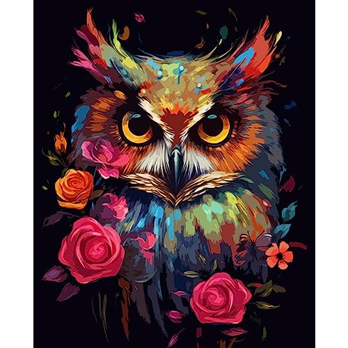 Tucocoo Owl Portrait Paint by Numbers Kits 16x20 inch Canvas DIY Digital Oil Painting for Adults with Brushes and Acrylic Pigment -Animal Rose Flowers Hand-Painted for Home Decor Gift (Without Frame) - color: Artwork-04, size: 16''x20''(Without Frame)