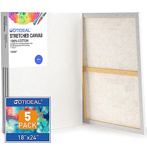 GOTIDEAL Stretched Canvases for Painting, 18x24 Inch Set of 5 - color: White, size: 18"x24"