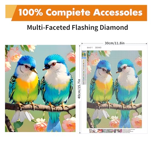 Yeadiffy Diamond Art Painting Kits for Adults Diamond Art Kits for Adults Beginners,5D Translucent Gems Diamond Painting,DIY Full Drill Diamond Gem Art and Crafts 12x16inch (Two Birds) - color: Two birds