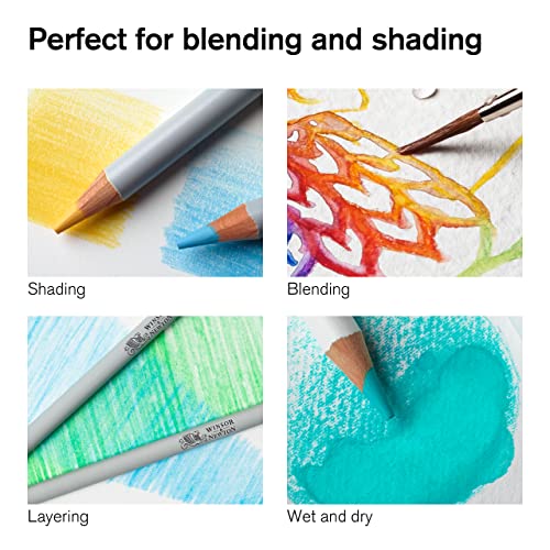 Winsor & Newton Studio Collection, Watercolor Pencils, Set of 12 | Highly pigmented, Wax-Based, Can be Used Wet/Dry, Add Water & Brush to Create Painterly Effects, Break-Resistant Points. - style: 12 Watercolor Pencils