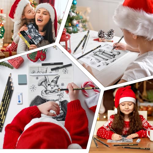 PANDAFLY Drawing Sketching Pencil Set, 20 Piece, 4H-14B Graphite Pencils | Pro Art Pencil Kit with Charcoal Sticks, Erasers, Sharpener, Blending Stump, Artist Pencils For Beginners & Pro Artists