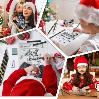 PANDAFLY Drawing Sketching Pencil Set, 20 Piece, 4H-14B Graphite Pencils | Pro Art Pencil Kit with Charcoal Sticks, Erasers, Sharpener, Blending Stump, Artist Pencils For Beginners & Pro Artists