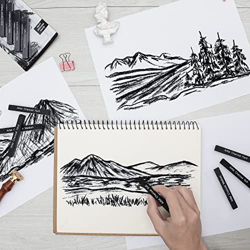 12 Pack Compressed Charcoal Sticks, Vine Charcoal Stick for Drawing, Sketching, Shading, Art Supplies Sketch Kits Tools Soft, Medium and Hard Grade - color: Black-12