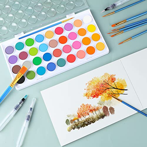 AROIC 65 Pieces Watercolor Paint Set for Adults Artists, Beginners - color: 36 watercolor paint set