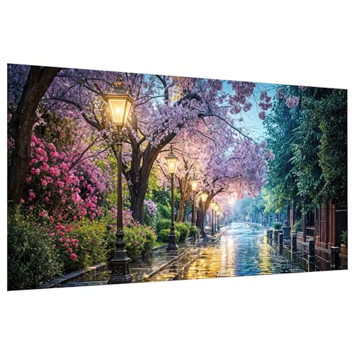 JOOZ Large Diamond Painting Kits for Adults DIY 5D City Street Scene Diamond Art Kits for Adults Full Drill Diamond Painting Flowers Gem Painting Kits for Gift Home Wall Decor 27.5x15.7 Inch - color: Street Scene 027