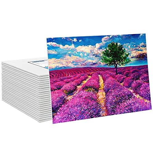 Canvas Boards for Painting 4x6 Inch, Super Value 24 Pack Mini Canvases, White Blank Canvas Panels, 100% Cotton Primed, Painting Art Supplies - size: 4"×6"