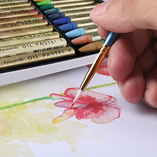 HA SHI Water-Soluble Oil Pastels for Adult Artists, 24 Colors, Blendable | Draw dry, then sweep a damp brush over the strokes to melt them into soft washes on paper, canvas or mixed-media journals. - color: Oil Pastels 24 colors