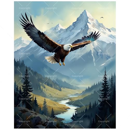 Eagle Flight Paint by Numbers Kit for Adults - DIY Mountain Painting on Canvas, Acrylic Paint Set, Suitable for Beginners, Ideal for Home Decoration or Gifts(12X16IN Framed) - color: HSX01187, size: 12X16IN Framed