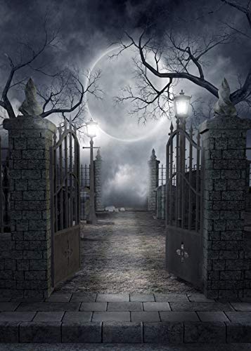 5X7FT Halloween Theme Pictorial Cloth Customized Photography Backdrop Background Studio Prop TP17A - size: 5'x7'