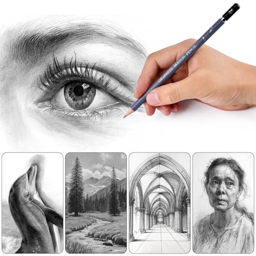 Brusarth Professional Sketch Graphite Pencils for Drawing Set,17 Pcs