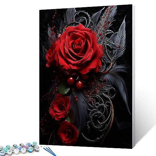 Exquisite Black Feather And Red Rose DIY Painting by Number for Adults and Beginner Beautiful Dark Style Paint by Numbers on Canvas Easy to Paint Artwork with Brushes and Paint Without Frame 16x20inch - color: Artwork-05, size: 16''x20''(Frameless)