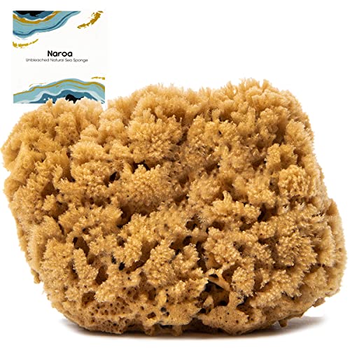 Naroa Massage Natural Shower Sponge | Unbleached Body Scrubber Puff | Bath Sea Loofah for Healthy Skin | Sustainable Plastic Free (Small)