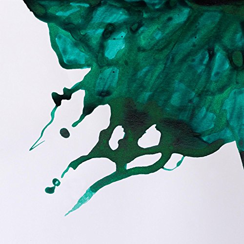 Winsor & Newton Drawing Ink, 14ml Bottle, Viridian | Fast-drying, transparent & water-resistant; Outstanding Color Brilliance; Perfect for brush, dip pen, airbrush applications. - color: Viridian, style: 14ml Bottle