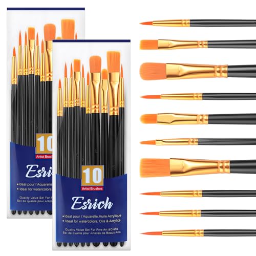 ESRICH Paint Brushes Set,2 Packs 20 Pcs Acrylic Paint Brush | Watercolor Oil Acrylic Nylon Hair Brushes, Artist Paintbrushes for Artist Professional Kits,Black - color: Black, size: 20