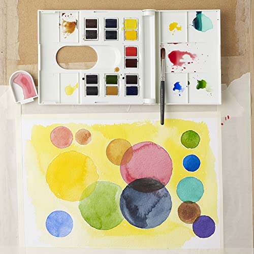 Winsor & Newton Professional Watercolor Paint Set, 12 Half Pan Field Box - style: Field Box 12 Half Pan