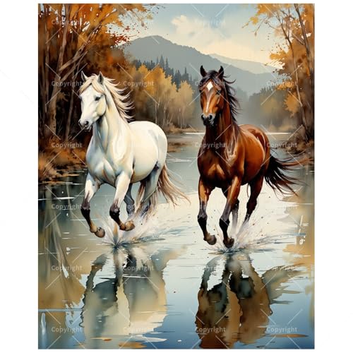 Running Horses in Autumn Stream Paint by Numbers Kit for Adults – DIY White and Brown Horses Painting on Canvas 16x20In, Framed Acrylic Paint Set for Beginners, Animal Art for Decoration/Gifts - color: FM05975, size: 16×20in Framed