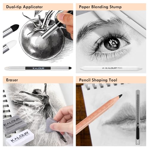 KALOUR PDAS 22pcs Charcoal Drawing Set, Professional Art Supplies, Black & White Charcoal Pencils for Drawing, Sketching, Shading, Blending, Artist Pencils for Beginners & Pro Artists