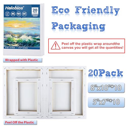 Professional Stretched Canvas for Painting with 8x10 inch, 5x7 inch (10 of Each), 20 Packs Blank Canvases Art Supplies for Acrylic, Oil, Pouring,100% Cotton, Primed, 5/8 Inch Profile - size: 20 Pack Mixed - 8×10IN 5×7IN