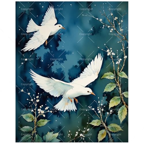 Bird Paint by Numbers Kit for Adults - DIY White Doves Flying in Starry Night Sky Painting on Canvas, Acrylic Paint Set, Suitable for Beginners, Art for Home Decoration or Gifts(16X20IN Framed) - color: TCXY07930, size: 16X20IN Framed