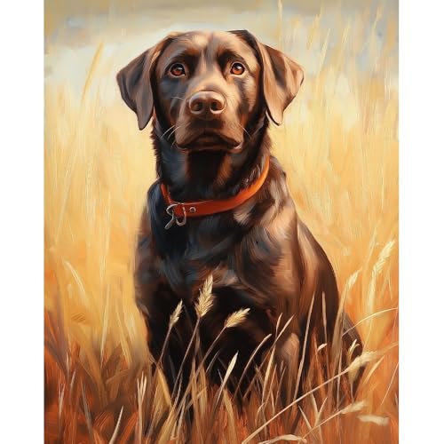 Natuyalo Animal Paint by Numbers Kit for Adults - Black Dog in the Rice Field Painting by Number on Canvas Without Frame, DIY Acrylic Art Crafts for Ideal Gift (16x20 Inch) - color: ART-04
