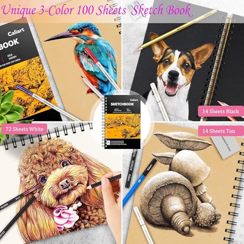Caliart 176PCS Art Supplies Sketching Kit, 100 Sheets 3-Color Sketch Book | Graphite Colored Charcoal Watercolor & Metallic Pencils, Drawing Supplies Set Gifts for Artists Adults Beginners - color: Purple