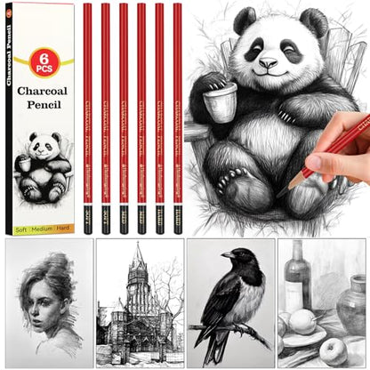 Professional Charcoal Pencils for drawing, Set of 6, Black Charcoal Drawing Pencils (Soft, Medium, Hard), Art Supplies for Drawing Sketching, Shading