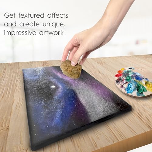 Naroa Artist Natural Sea Sponges for Painting 4 Pack | Unique Tool Set Unbleached | Great for Artists & Children | Acrylic, Watercolor, Marbling, Texturing, Pottery, Ceramics