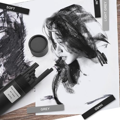 24 Pcs Compressed Charcoal Sticks with Soft, Medium, Hard and White Charcoal, Square Charcoal Stick Kit for Drawing, Sketching and Shading (12 Black + 4 Gray + 8 White) - color: 12 Black + 4 Gray + 8 White