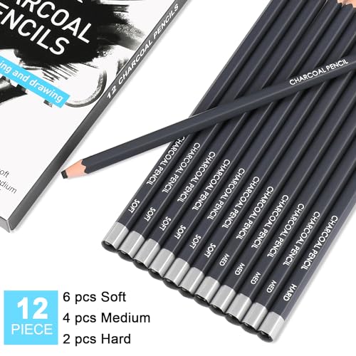 Sunshilor Professional Charcoal Pencils Drawing Set, 12 Pieces Soft Medium Hard Charcoal Pencils for Drawing, Sketching, Shading, Artist Pencils for Beginners & Artists