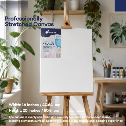 Stretched Canvases for Painting 16x20 Inch 5-Pack, 10 oz Triple Primed Acid-Free 100% Cotton Blank Canvas, Rectangular Canvas for Oil Paint Acrylics Pouring & Wet Art Media, Pour Painting - size: 16"x20"(5-Pack), style: Studio