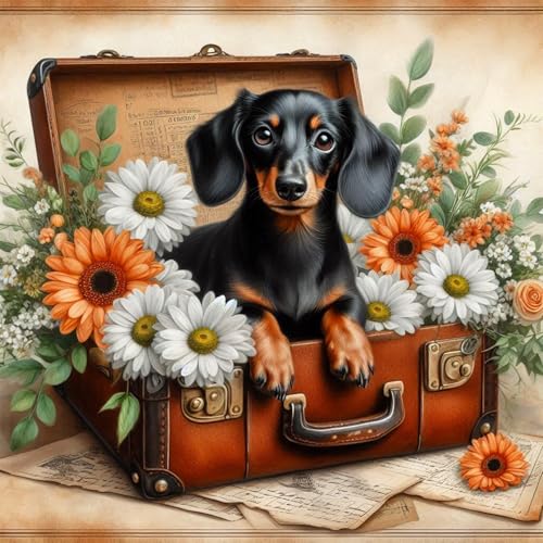 Axquilon Dog Diamond Art Kits for Adults 12x12In | Dachshund Diamond Painting Kits for Adults, Dog 5D DIY Paint by Diamond Round Full Drill Home Wall Decor Gift - color: Dachshund-1